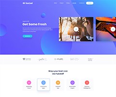 
Digital Agency
